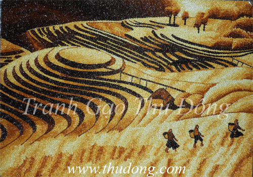 The rice terraces